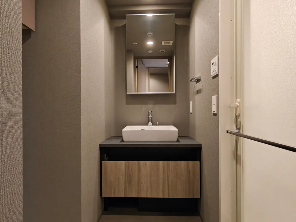 Vanity Area1
