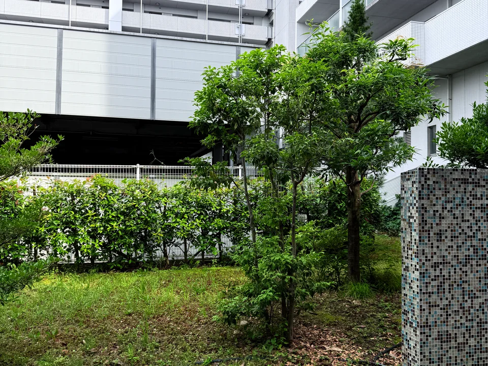 Building Exterior1