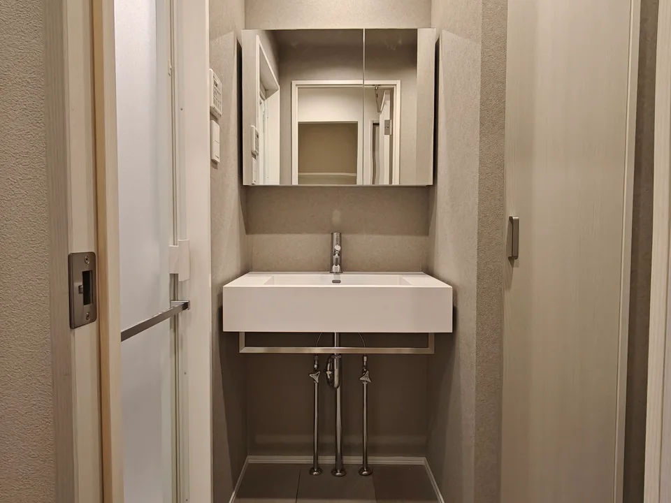 Vanity Area1