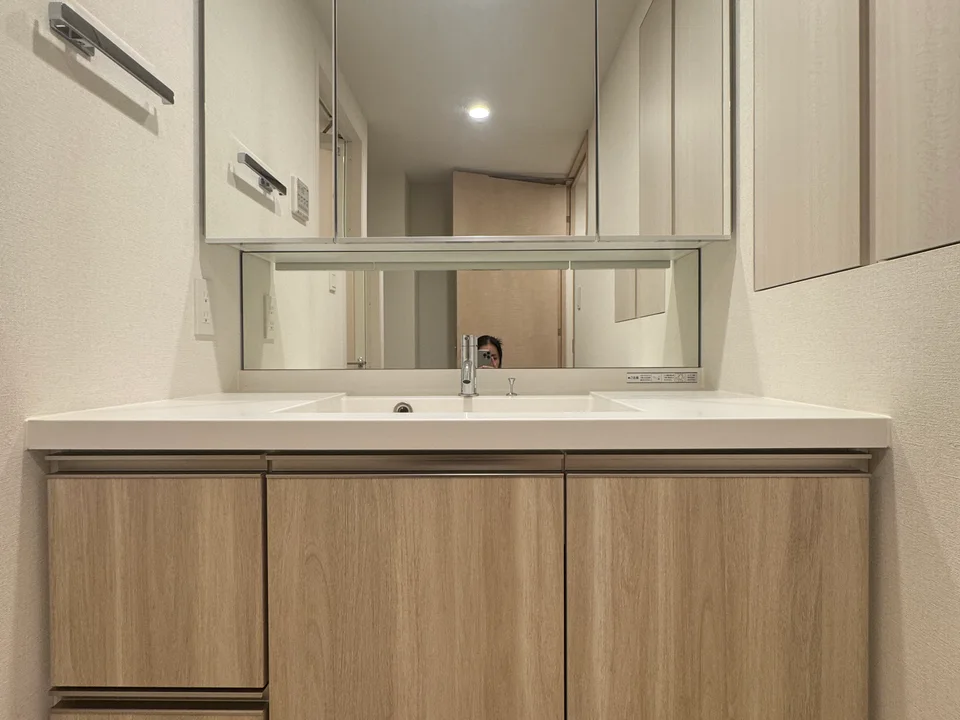 Vanity Area1