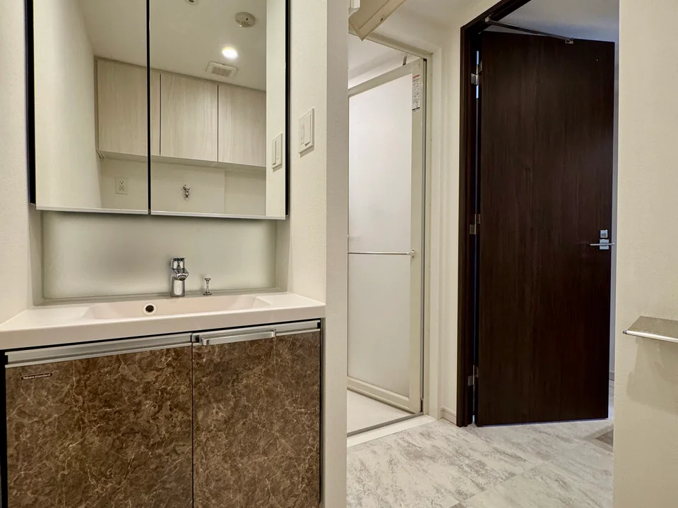 Vanity Area1