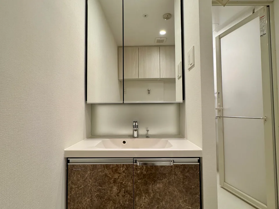 Vanity Area1
