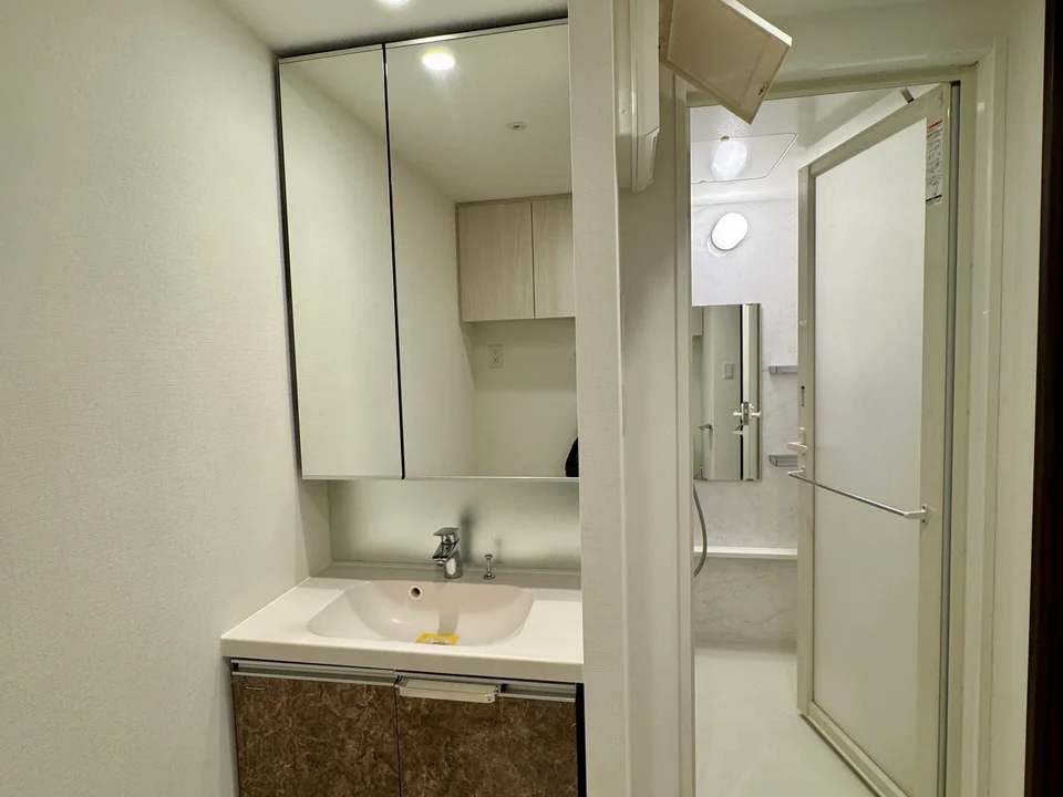 Vanity Area1