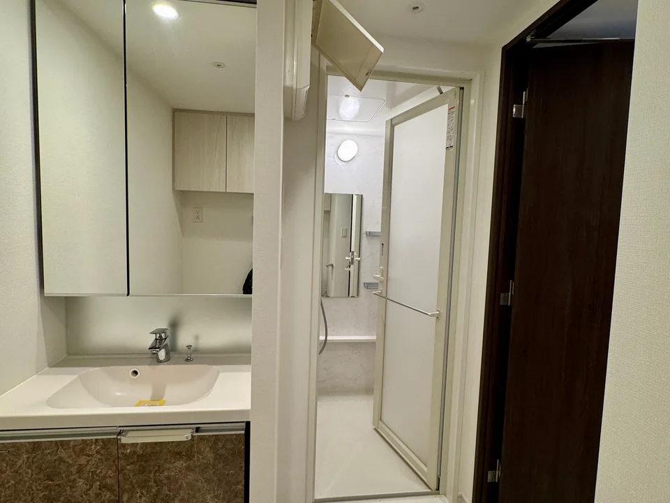 Vanity Area1