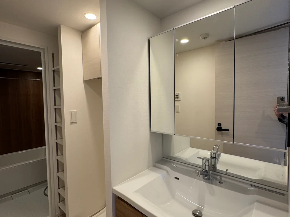 Vanity Area1
