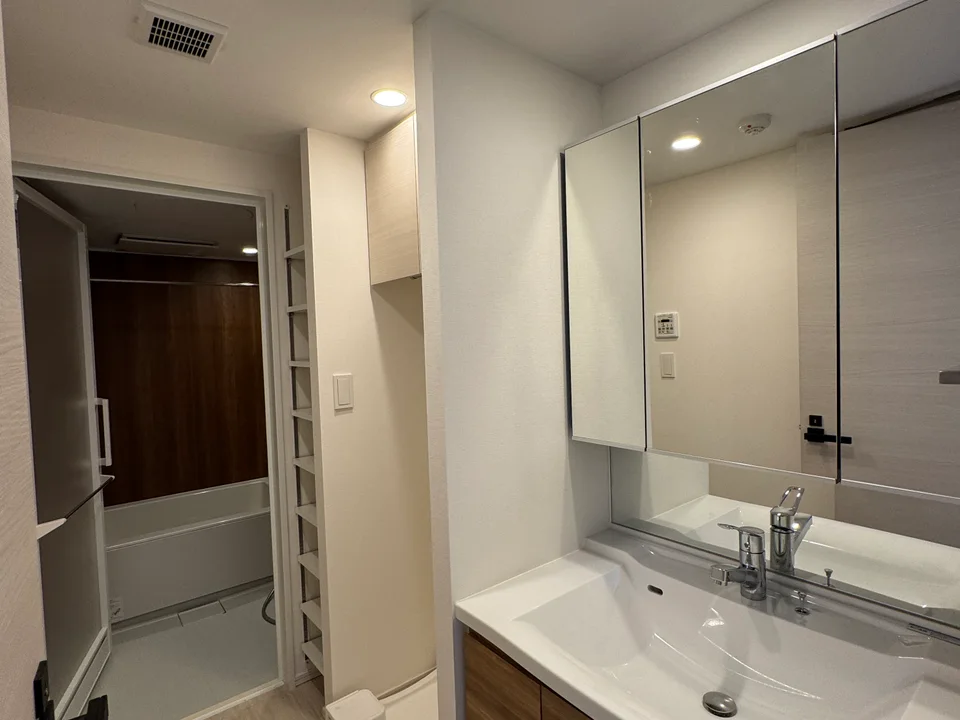 Vanity Area1