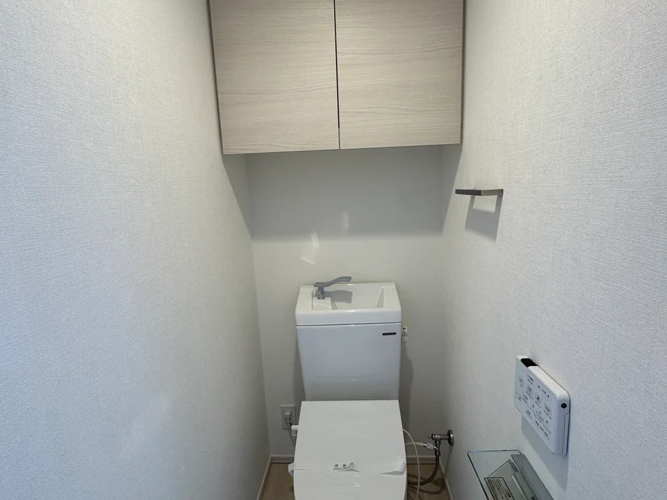 Toilet1