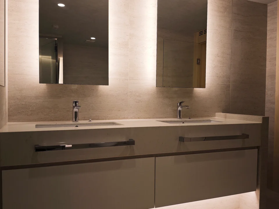 Vanity Area1