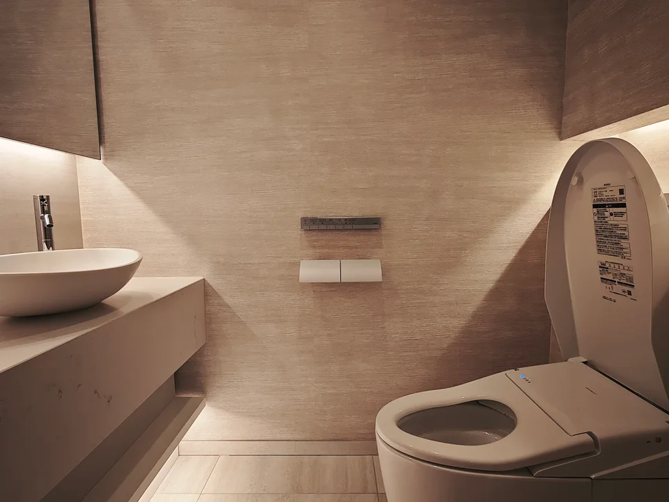 Toilet1