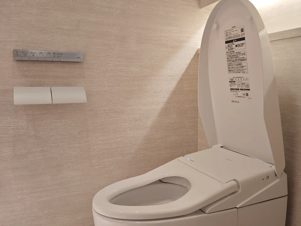 Toilet1