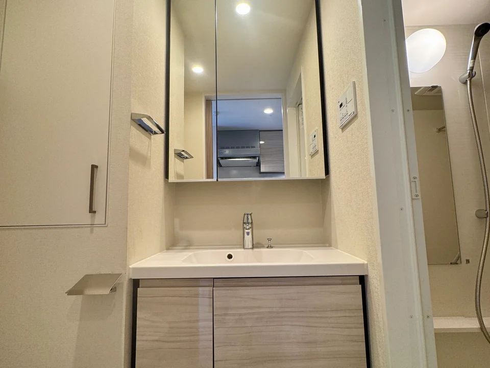 Vanity Area