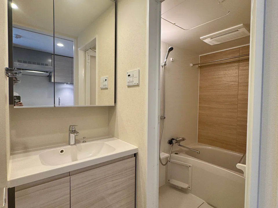 Vanity Area