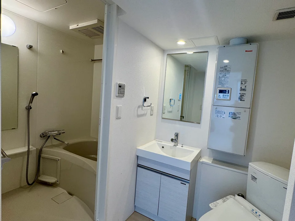 Vanity Area