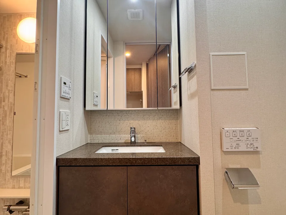 Vanity Area