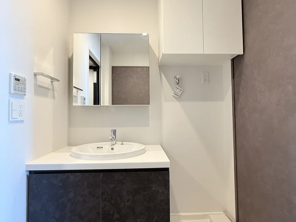 Vanity Area