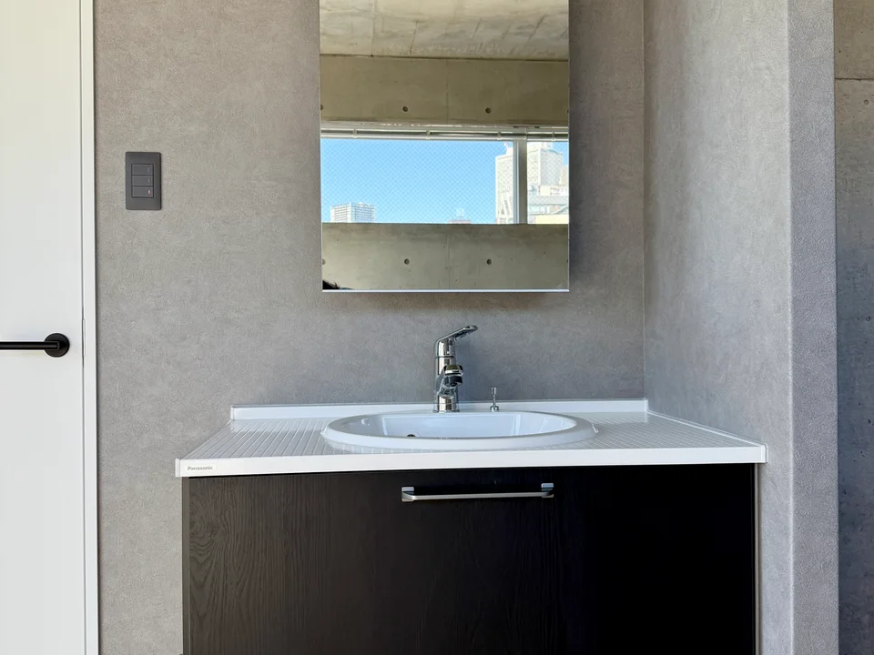 Vanity Area