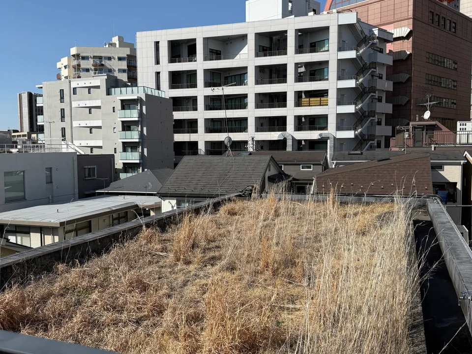 Scenery
