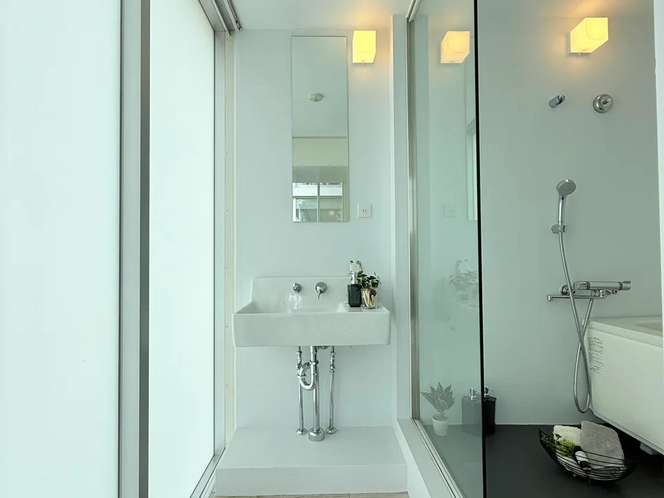 Vanity Area