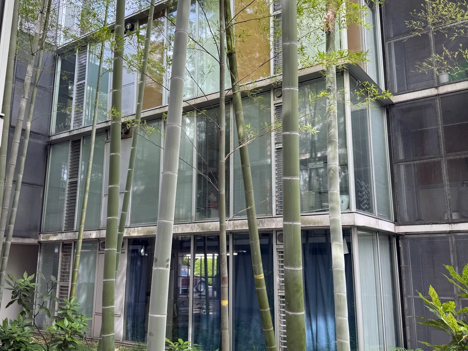 Building Exterior