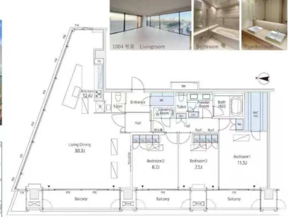 Layout