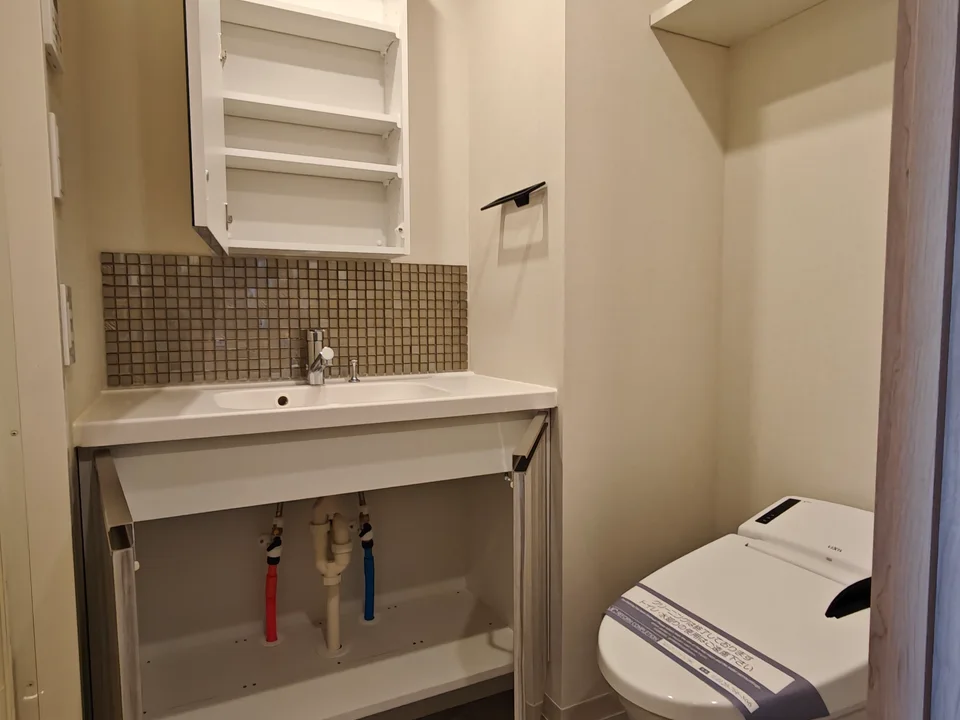 Vanity Area