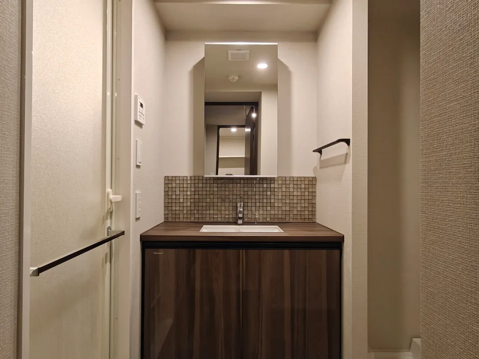 Vanity Area