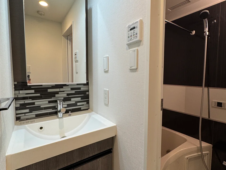 Vanity Area