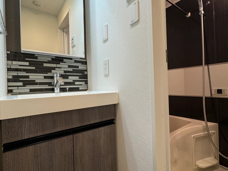 Vanity Area