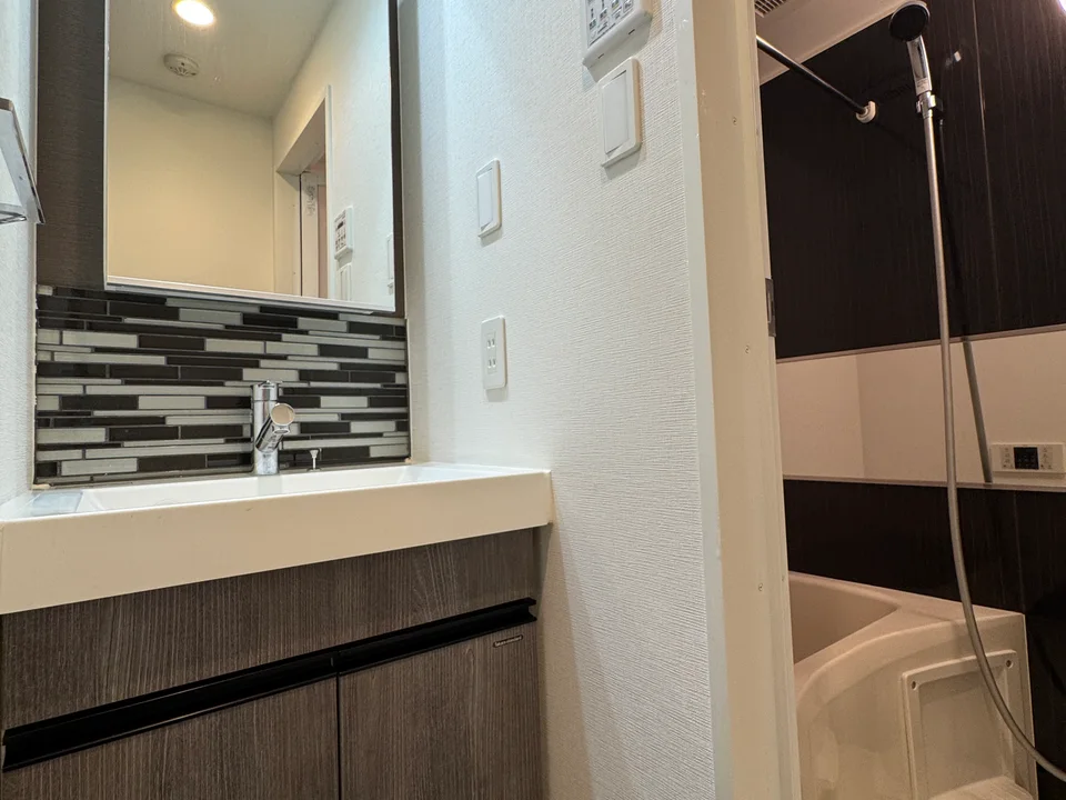 Vanity Area
