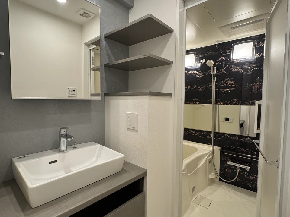 Vanity Area