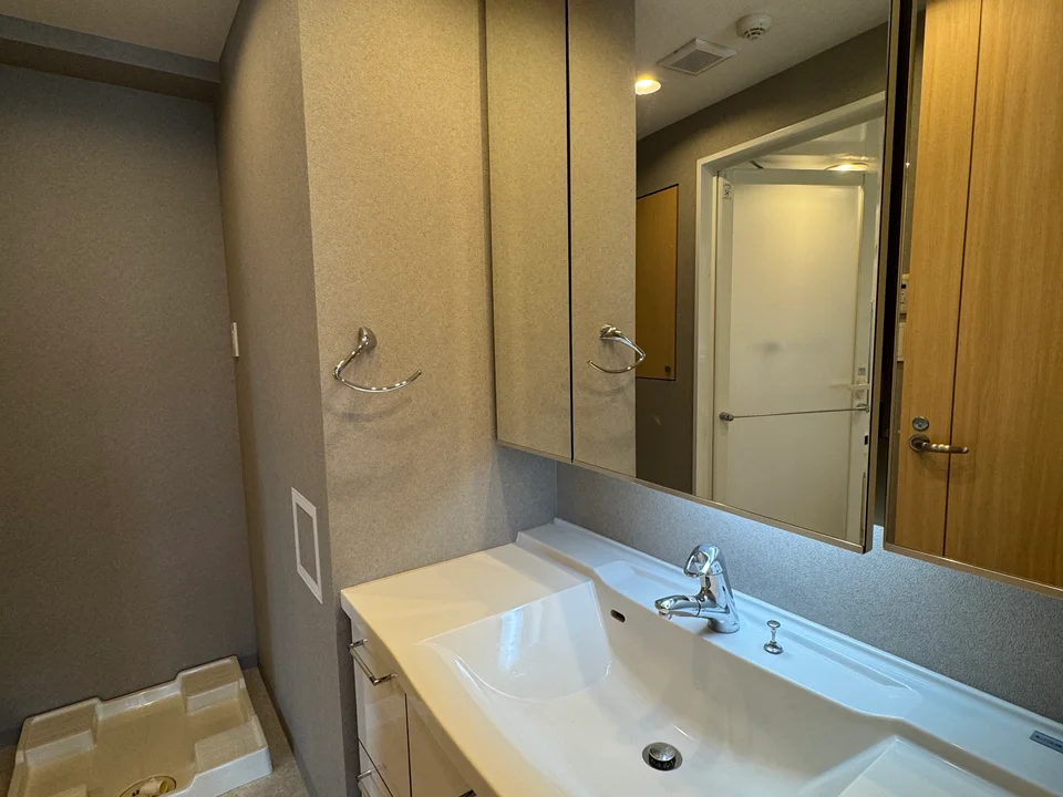 Vanity Area