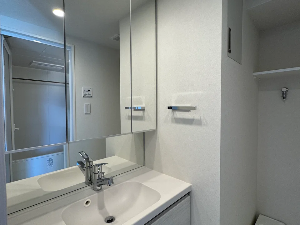 Vanity Area