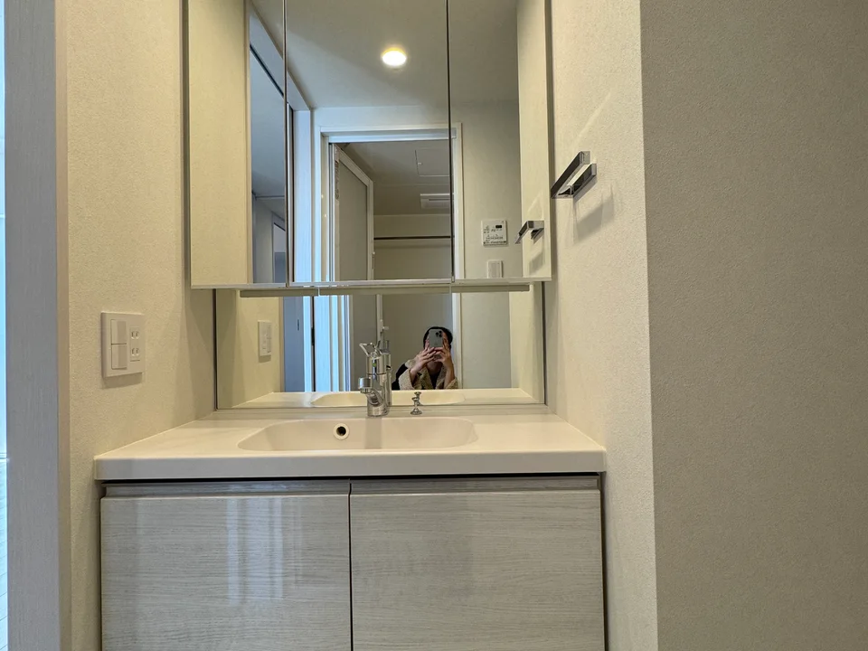 Vanity Area
