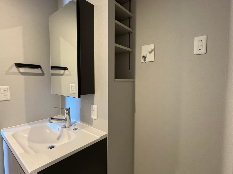 Vanity Area