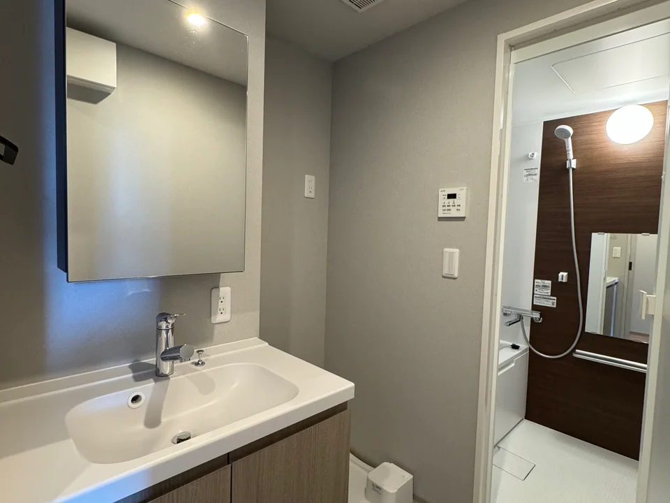 Vanity Area