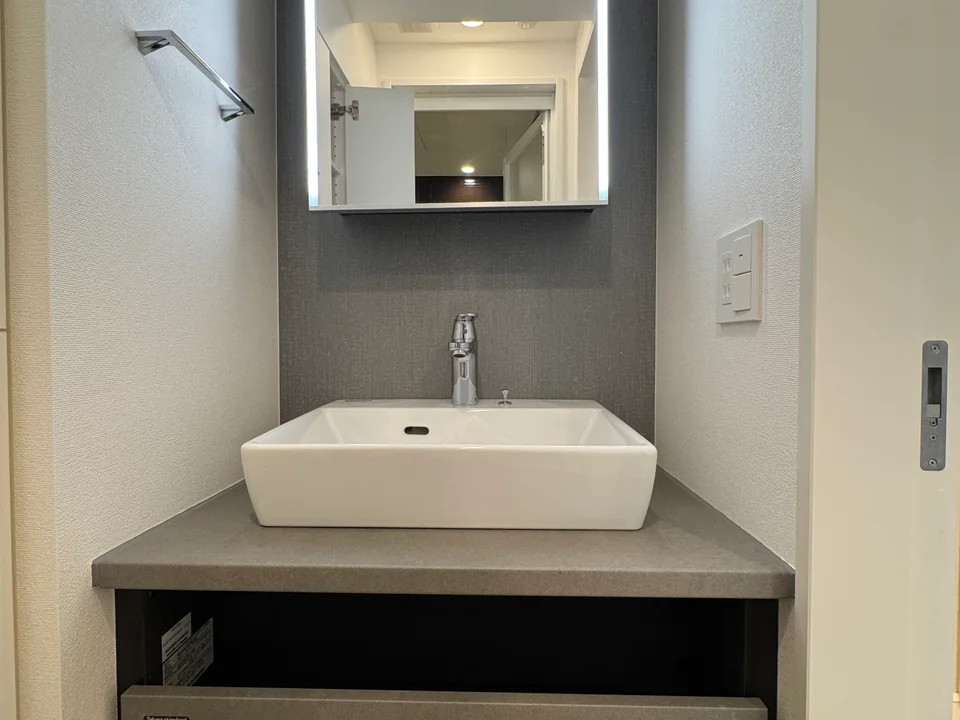Vanity Area