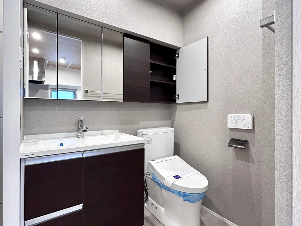 Vanity Area