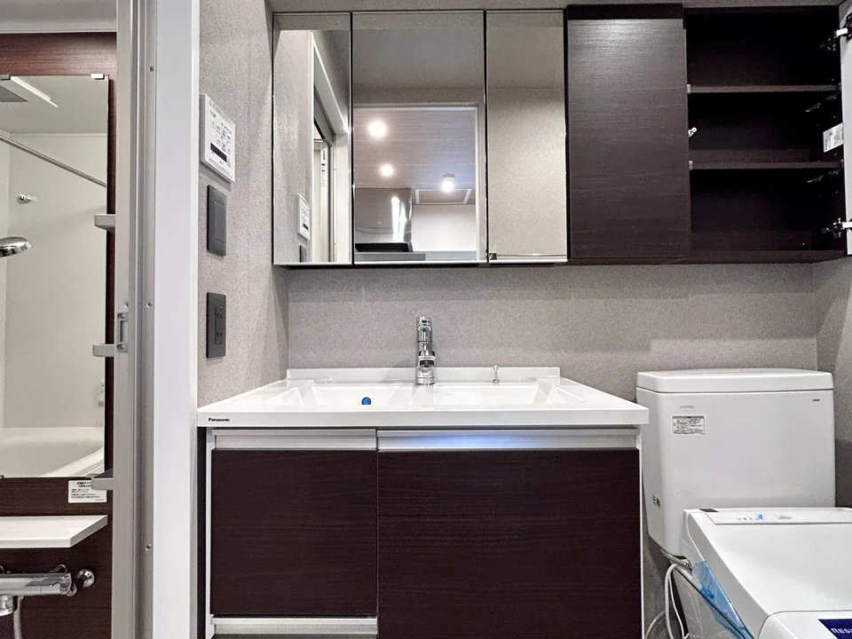 Vanity Area