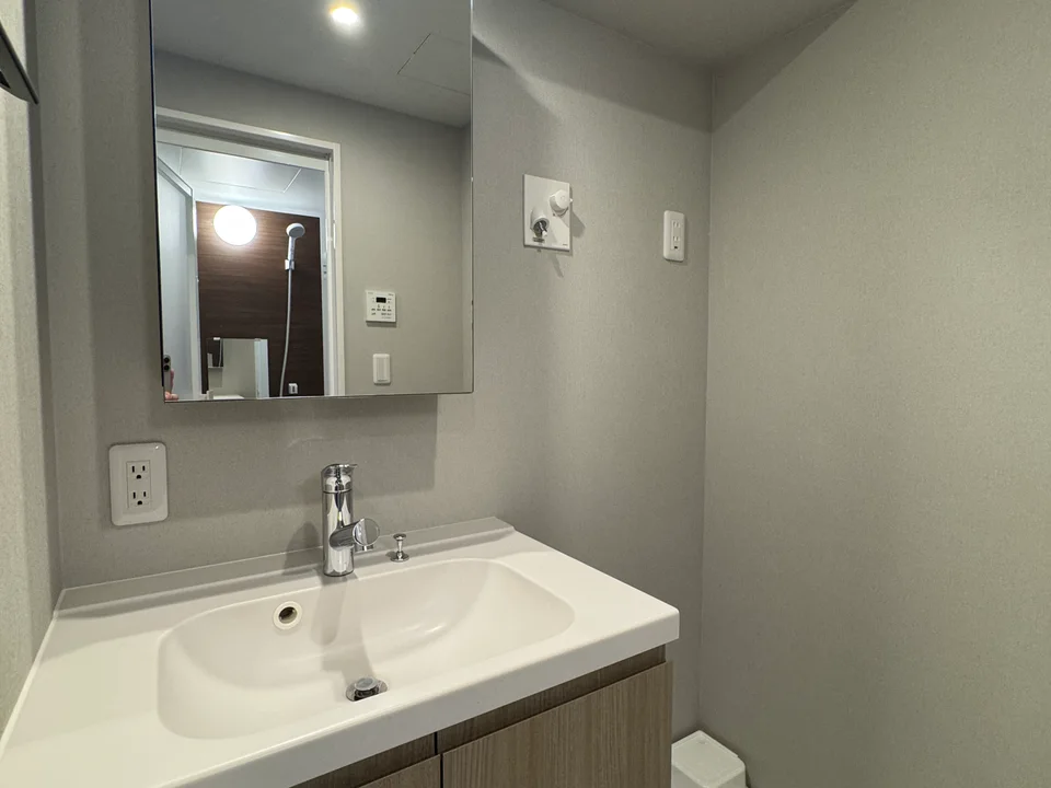 Vanity Area