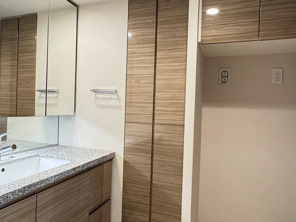 Vanity Area