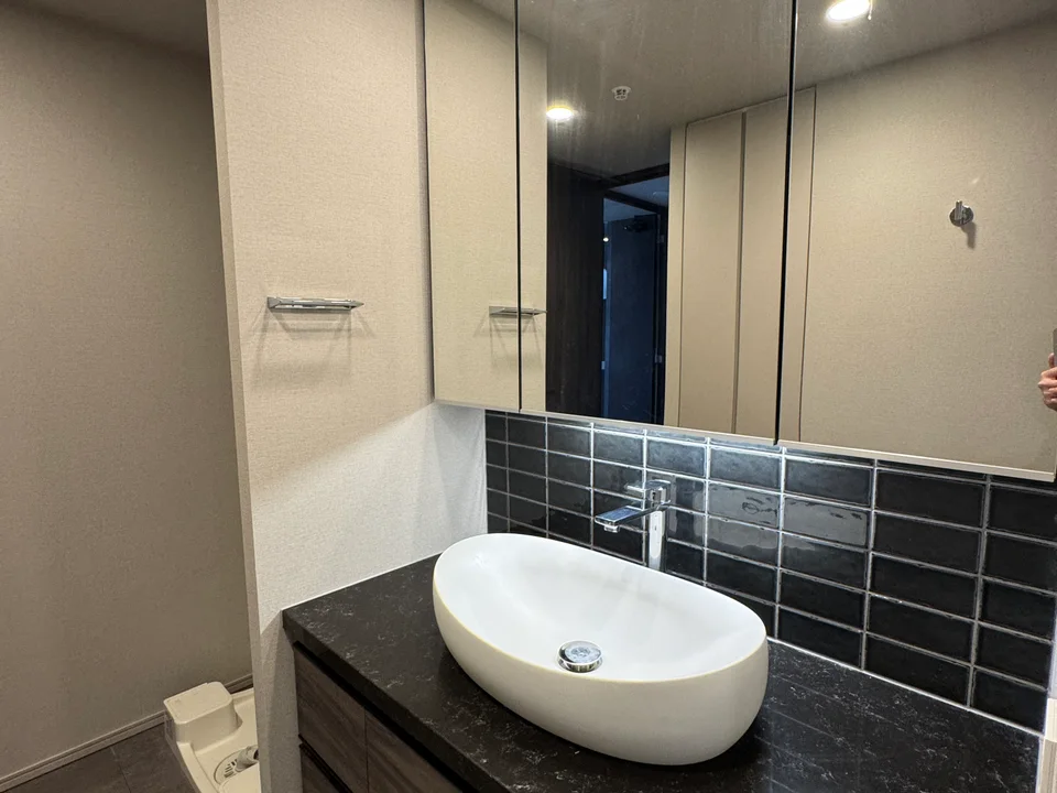 Vanity Area