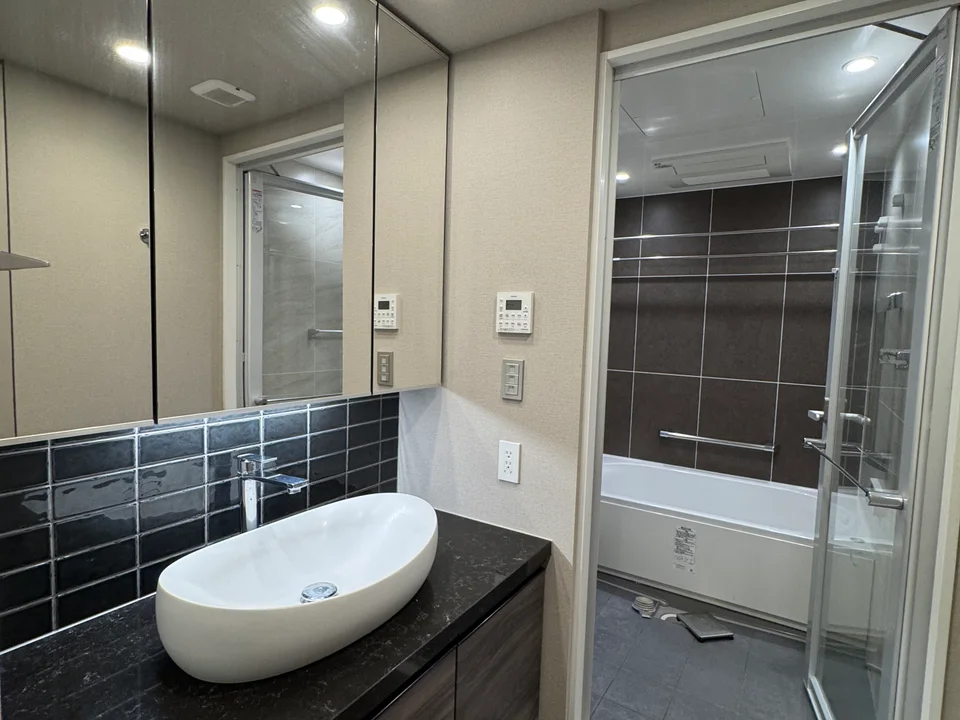 Vanity Area