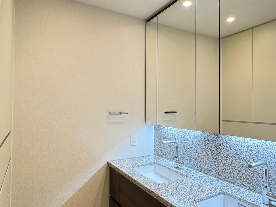 Vanity Area