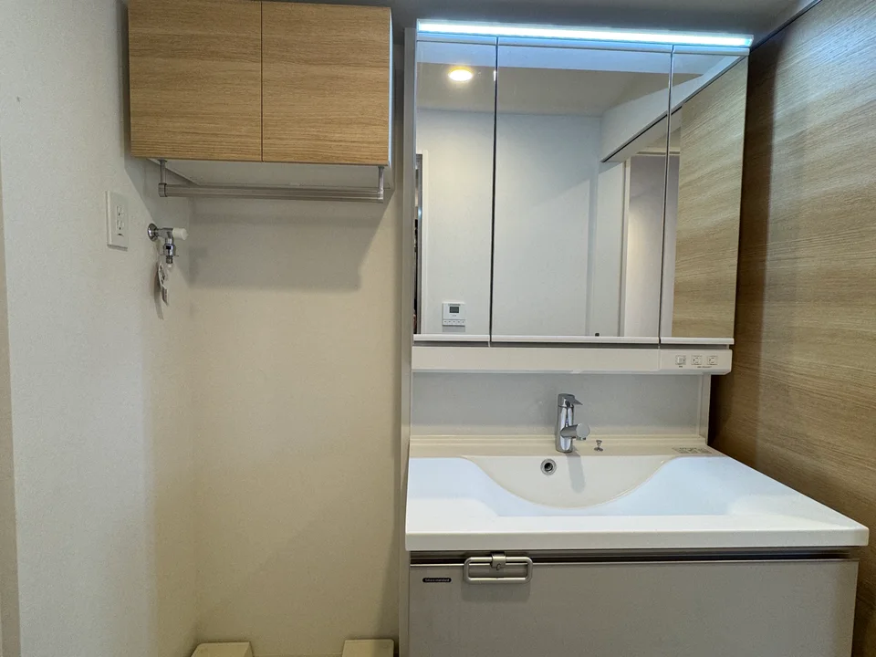 Vanity Area