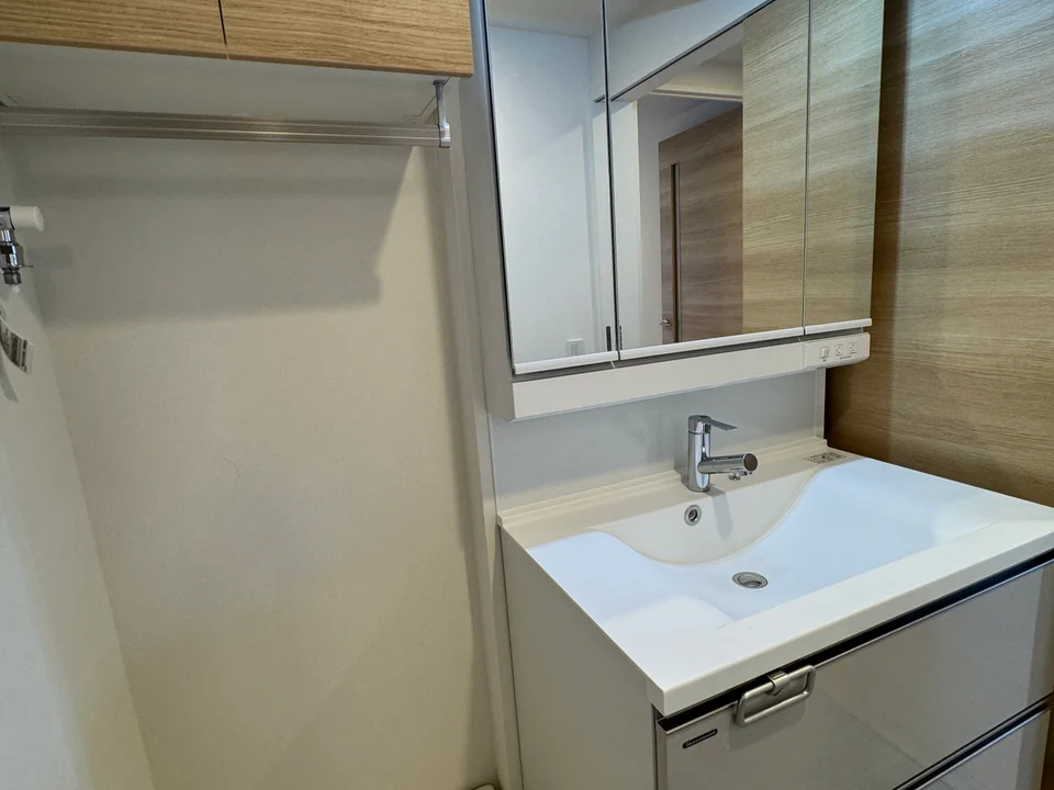 Vanity Area