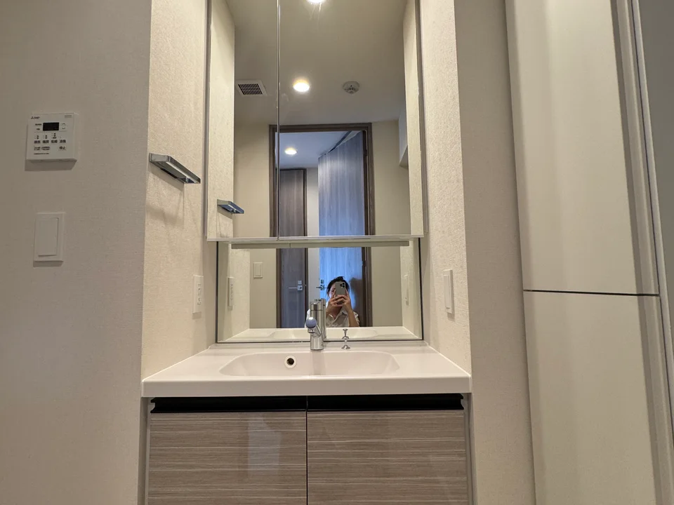 Vanity Area