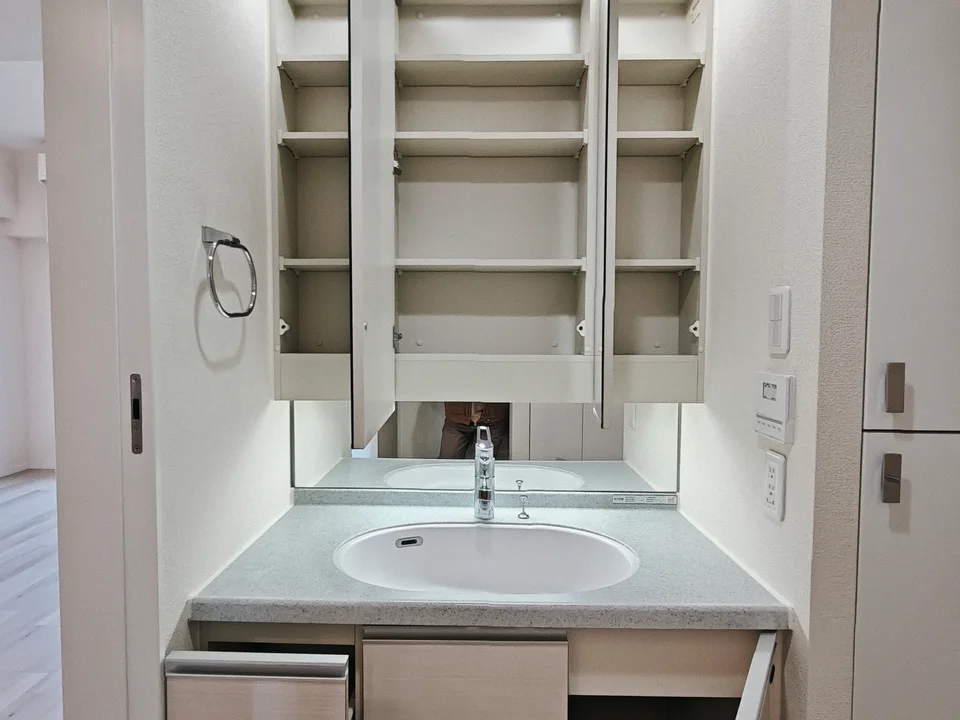 Vanity Area