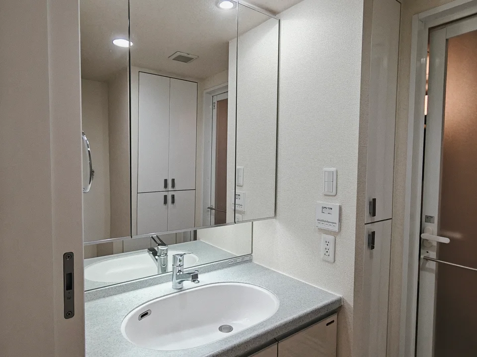 Vanity Area