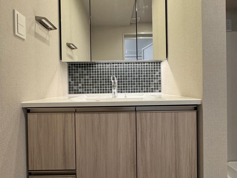 Vanity Area