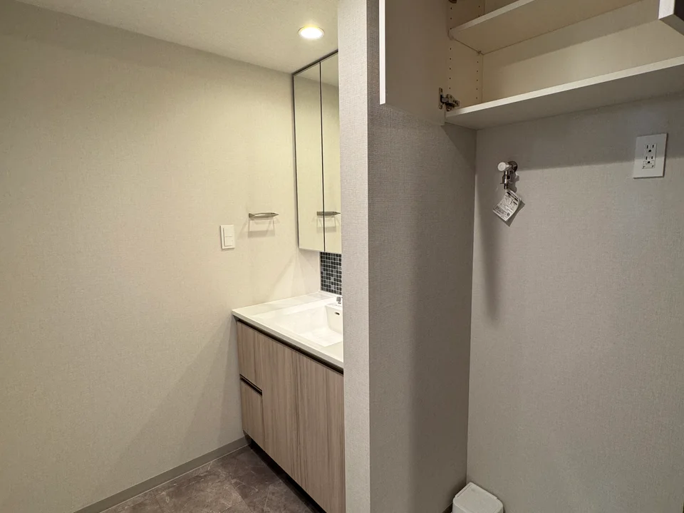 Vanity Area